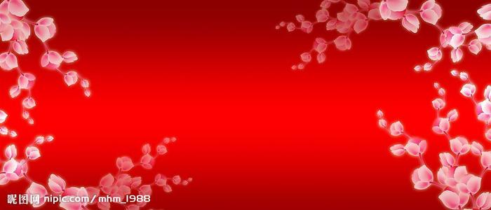 北卡罗来纳大学夏洛特分校Diplom